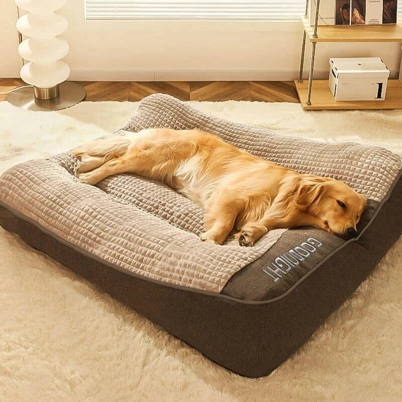 Orthopedic dog bed with elevated bolster edge, featuring a soft velour removable cover, designed for large dogs to provide ultimate comfort and support. 5