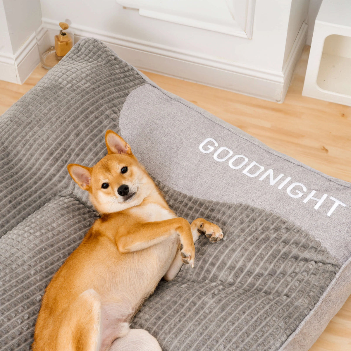 Orthopedic dog bed with elevated bolster edge, featuring a soft velour removable cover, designed for large dogs to provide ultimate comfort and support. 6