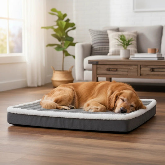 Orthopedic Dog Bed with High-Quality Foam for Ultimate Comfort – Large Size Available, Soft Durable Cover, Easy to Clean 1