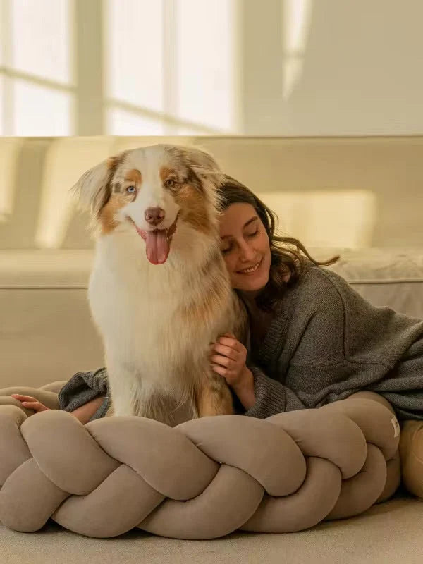 Orthopedic dog bed with a removable washable cover, featuring a supportive foam base, designed for large dogs; available in various sizes and colors. 7