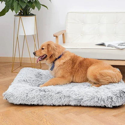 Orthopedic Plush Dog Bed and Cat Bed with Memory Foam Support – Soft Non-Slip Pet Bed for Ultimate Comfort and Pressure Relief 6