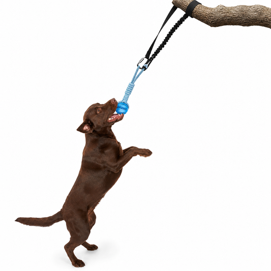 Outdoor dog toy featuring an interactive bungee tug design and a durable chew rope, perfect for active play and engaging your pet. 0