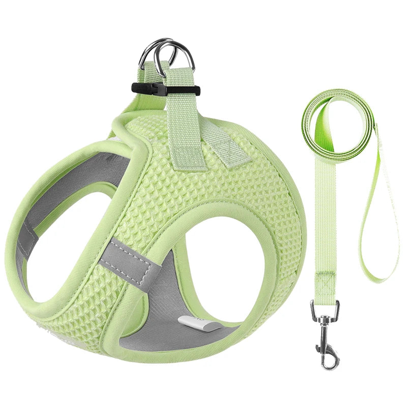 PawStrideFit | Reflective Harness & Leash for Pets 0