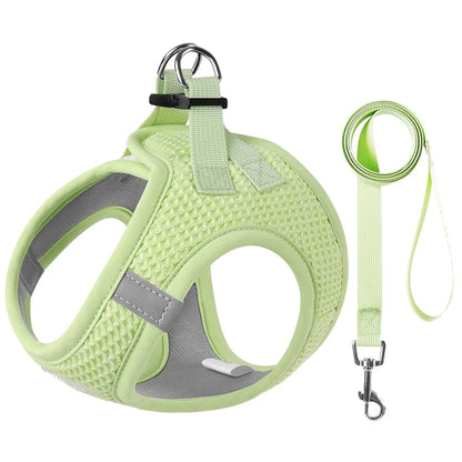 PawStrideFit | Reflective Harness & Leash for Pets 0