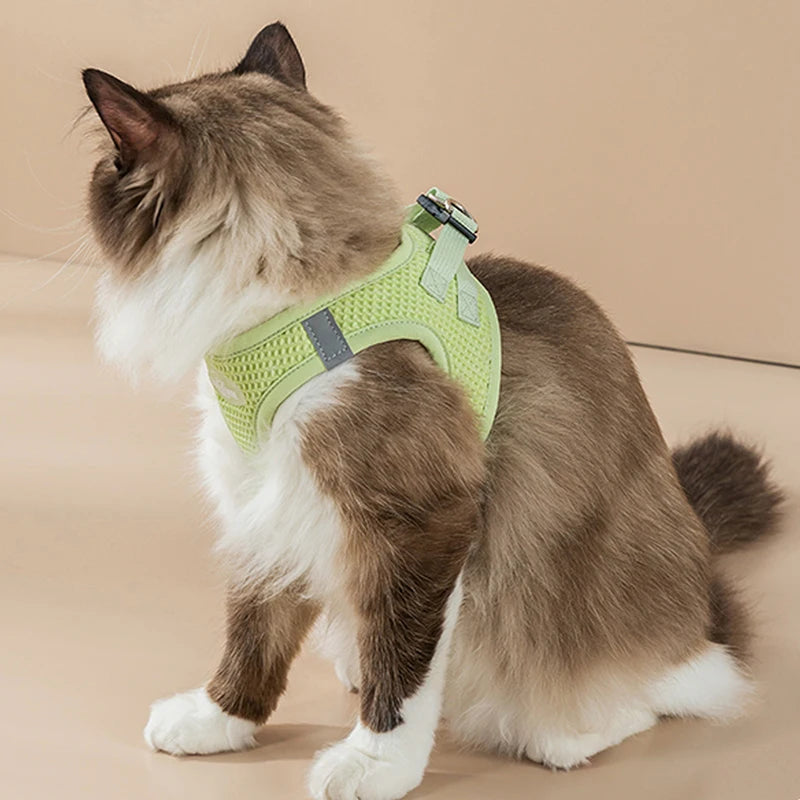PawStrideFit | Reflective Harness & Leash for Pets 1