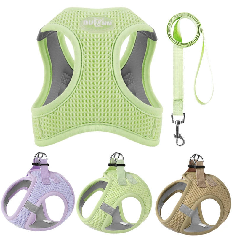 PawStrideFit | Reflective Harness & Leash for Pets 2