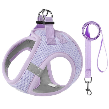 PawStrideFit | Reflective Harness & Leash for Pets 3