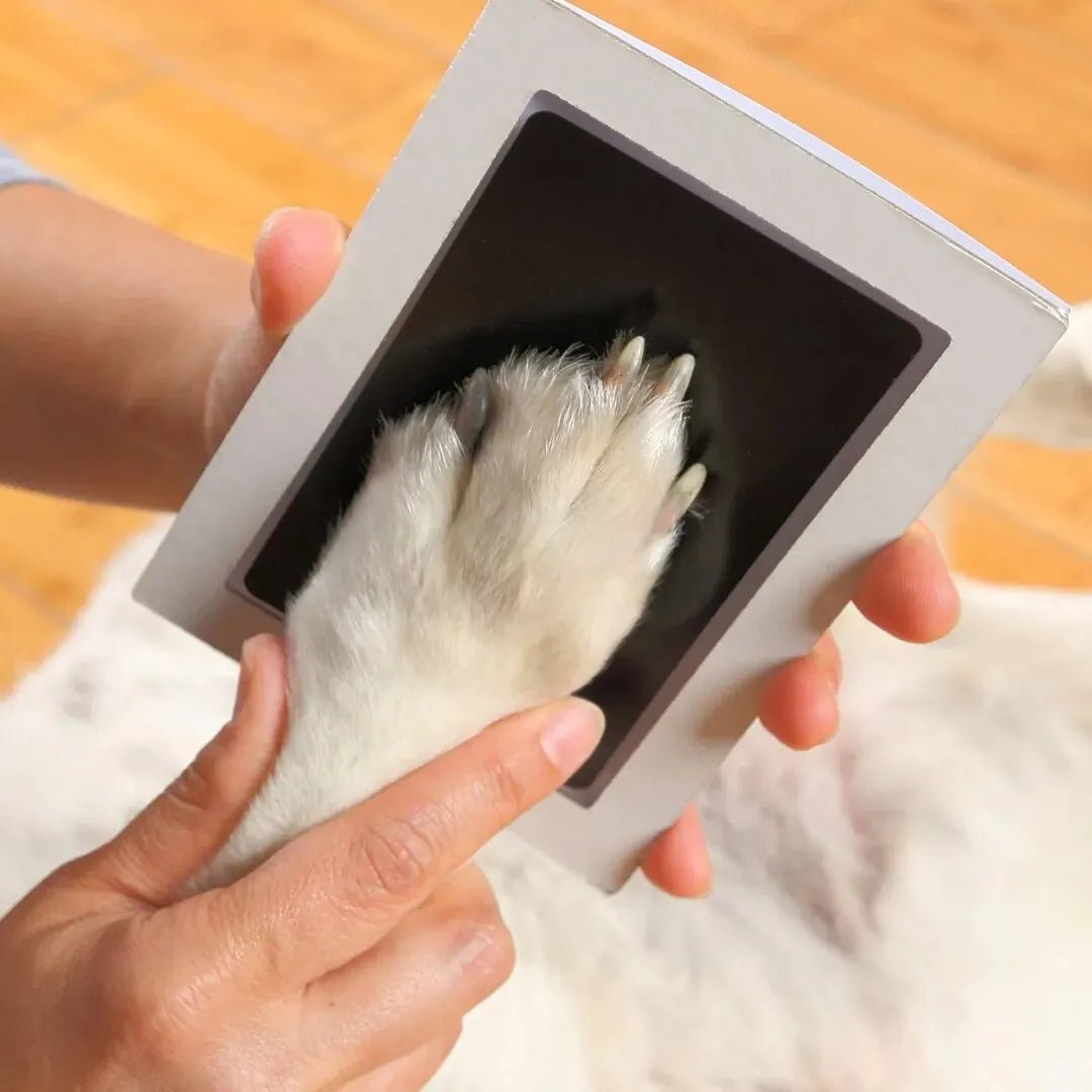 Paw Print Ink Pad Kit for Dogs and Cats – Safe and Clean Memory Keepsake 6