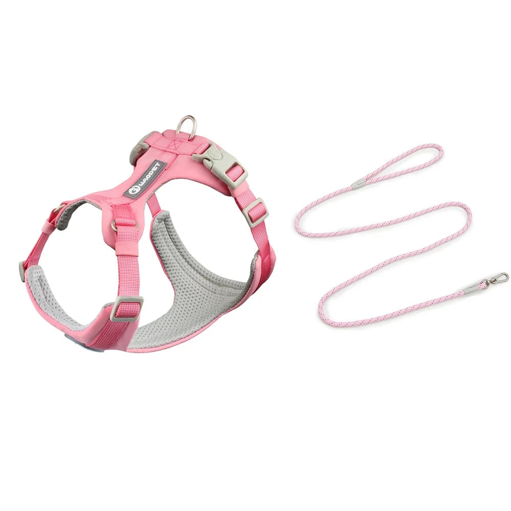 PetExplorer | Harness and Rope Set for Outdoor Training and Adventure 0