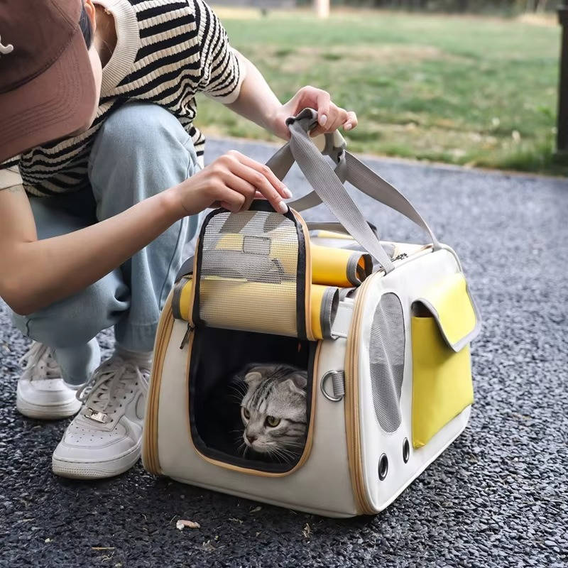 Durable and easy-to-clean pet carrier for cats and small dogs, designed for safe travel and airline approval, featuring a comfortable and secure design. 4
