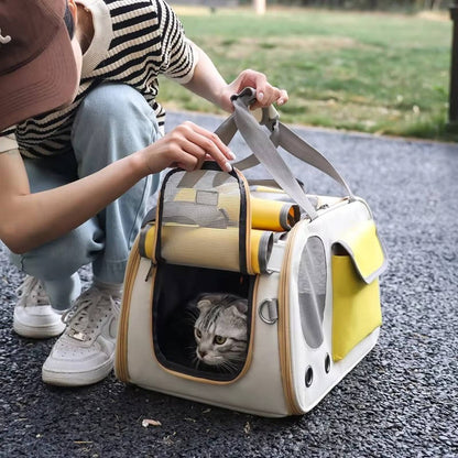 Durable and easy-to-clean pet carrier for cats and small dogs, designed for safe travel and airline approval, featuring a comfortable and secure design. 4