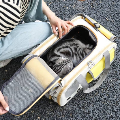 Durable and easy-to-clean pet carrier for cats and small dogs, designed for safe travel and airline approval, featuring a comfortable and secure design. 5