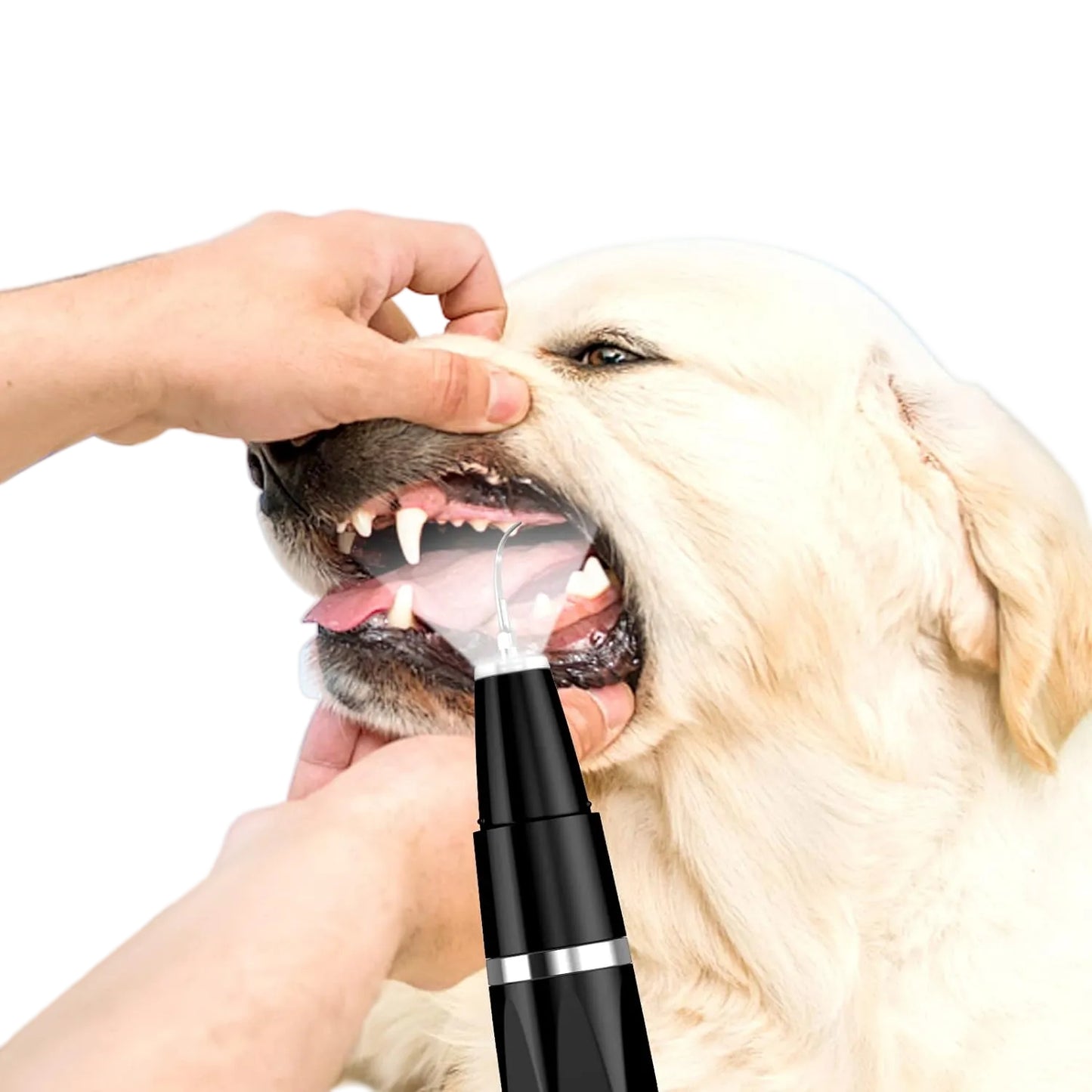 Pet Dental Care Set with Adjustable Cleaning and USB Rechargeable Features – Effective Plaque and Tartar Removal 3