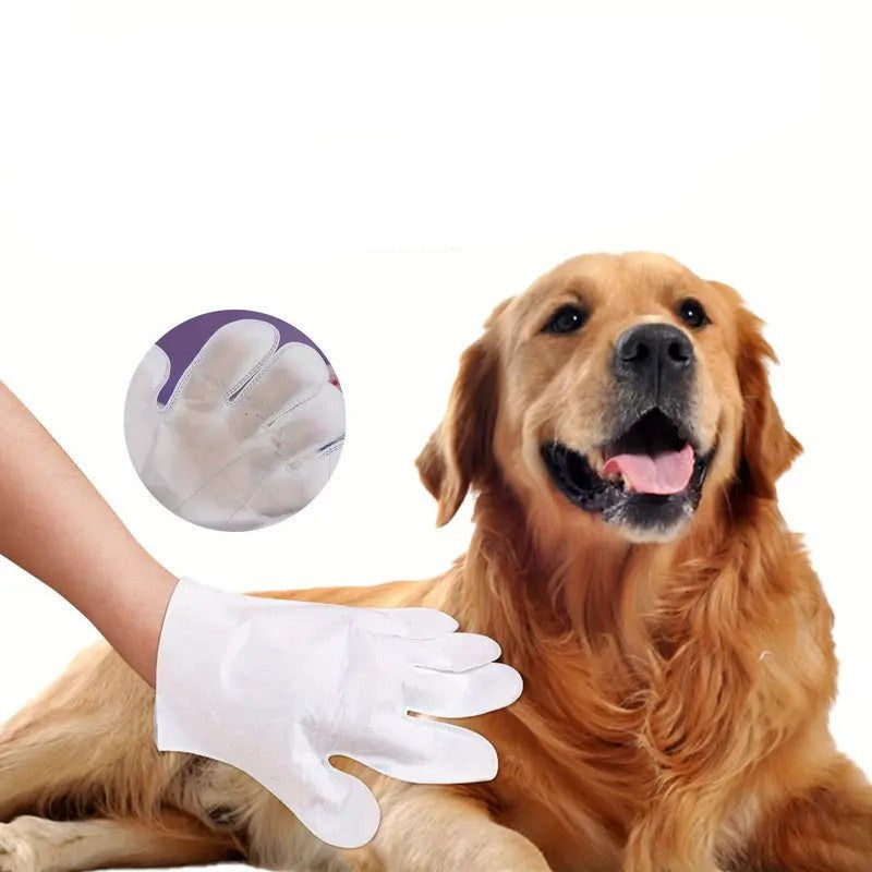 Pet Disposable Cleaning Gloves – Gentle, Pre-Moistened Grooming Wipes for Dogs and Cats 1