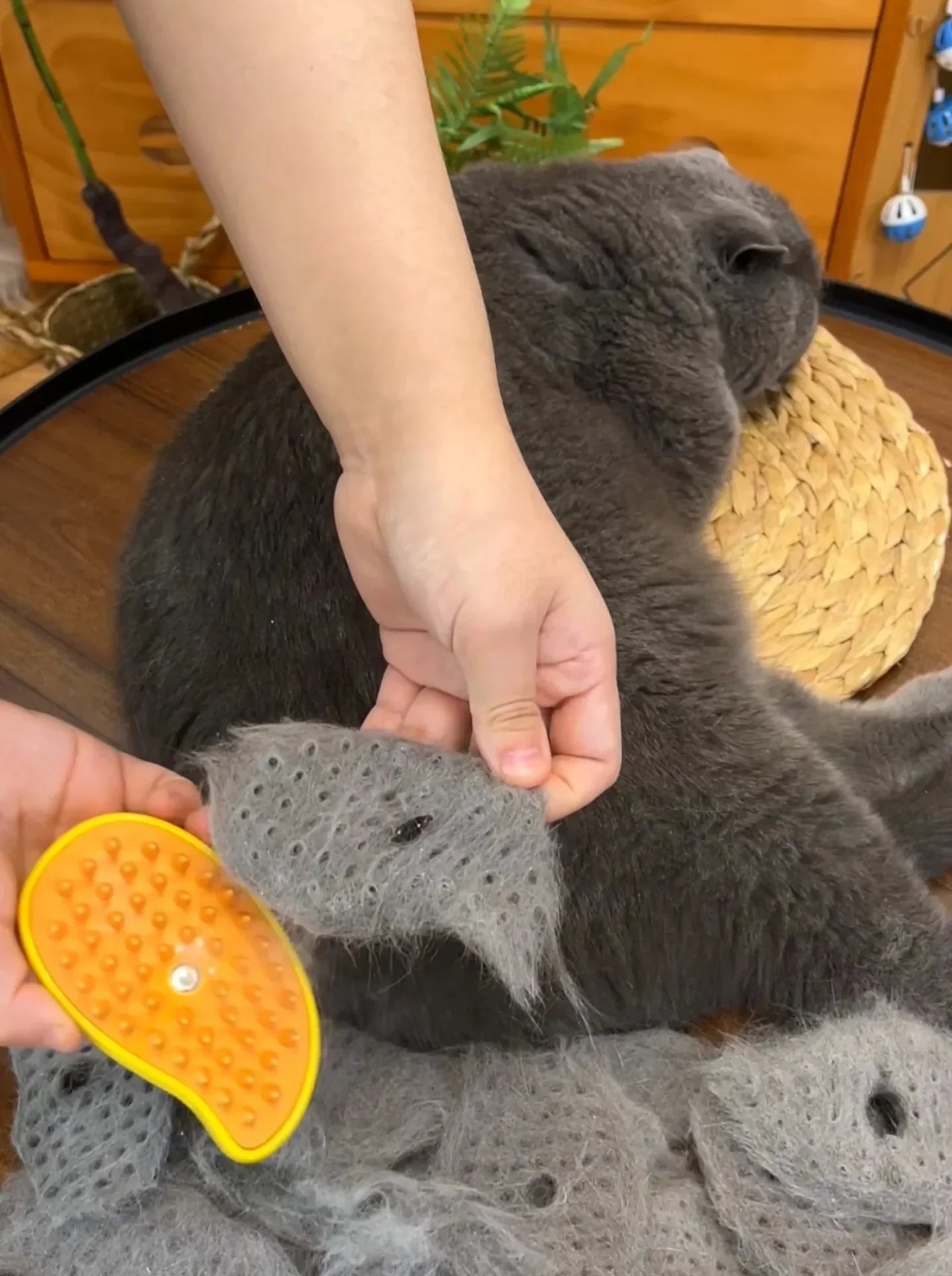 Pet Grooming Brush with Nano Mist Technology for Cats and Dogs – Effective Shedding Solution 2