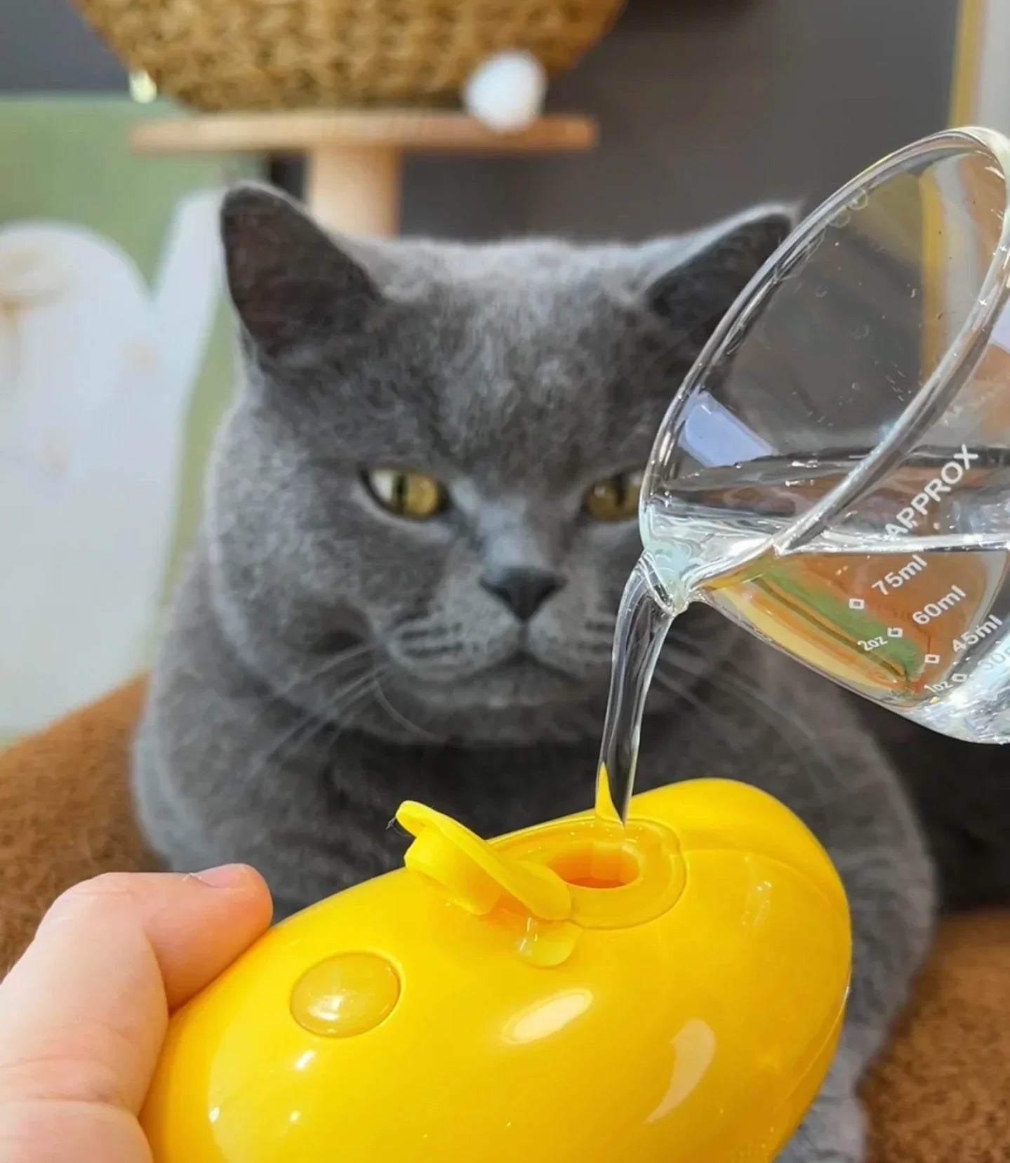 Pet Grooming Brush with Nano Mist Technology for Cats and Dogs – Effective Shedding Solution 3