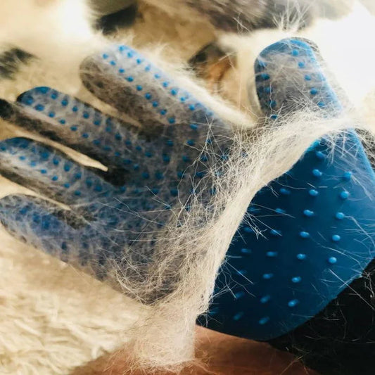 Pet Grooming Gloves for Cats and Dogs – Adjustable Deshedding Mitt with Soft Bristles for Gentle Grooming and Hair Removal 6