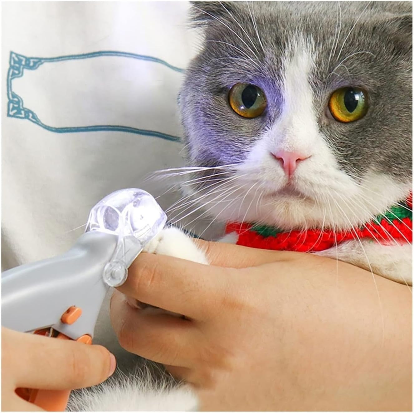 Pet Nail Clipper with LED Light and 5X Magnifier – Ergonomic Design for Safe Grooming 1