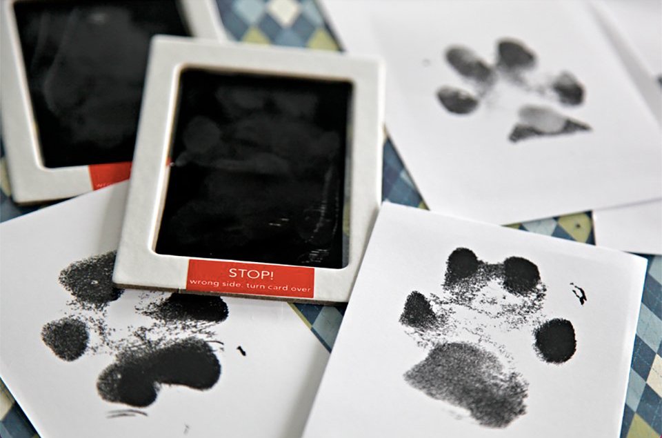 Pet Paw Print Ink Set – Non-Toxic Clean-Touch Ink Pad for Dogs and Cats 0