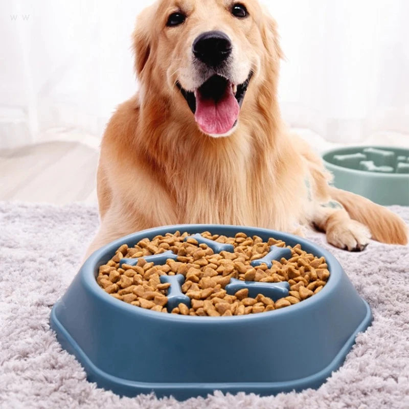 Pet Slow Feeder Bowl for Dogs – Anti-Choking and Healthy Eating Design 1