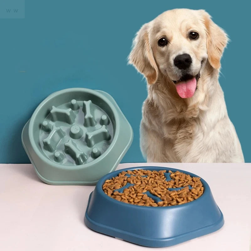 Pet Slow Feeder Bowl for Dogs – Anti-Choking and Healthy Eating Design 2