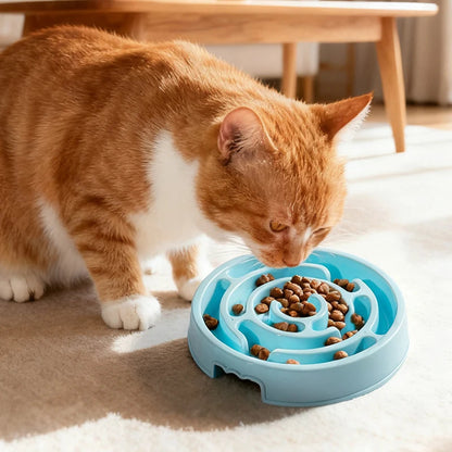 Pet Slow Feeder Dog and Cat Bowl with Maze Design for Healthy Digestion – Non-Slip Anti-Gulping Feeding Dish 2