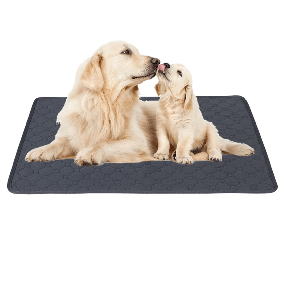 PipiVriend | Washable Training Mat for Dogs 1