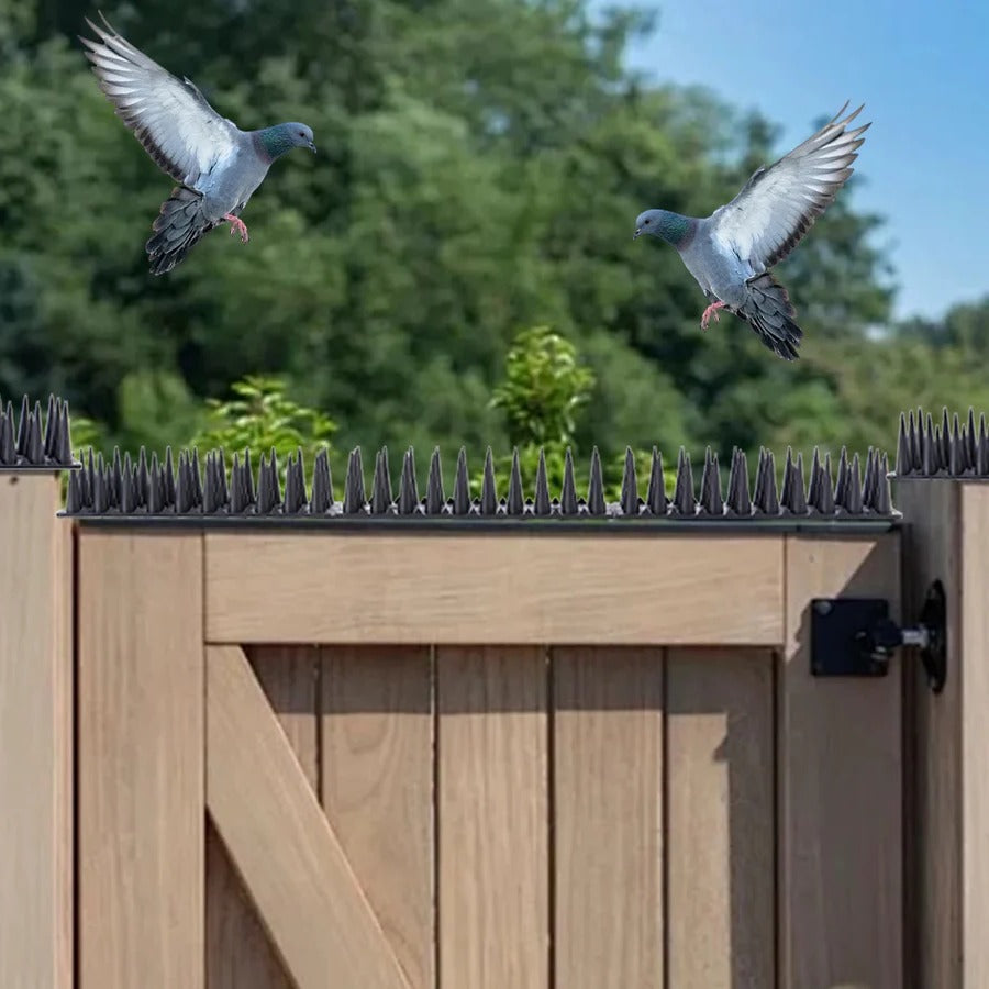 Plastic Bird Spikes for Pigeon Deterrent – Humane Bird Control Solution for Outdoor Surfaces, 10 Count 0