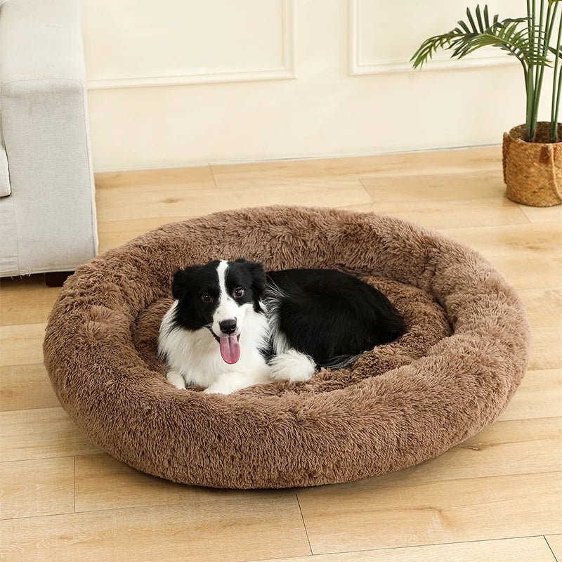Plush Donut Dog Bed for Cats and Dogs – Soft Cotton Pet Bed for Ultimate Comfort 2