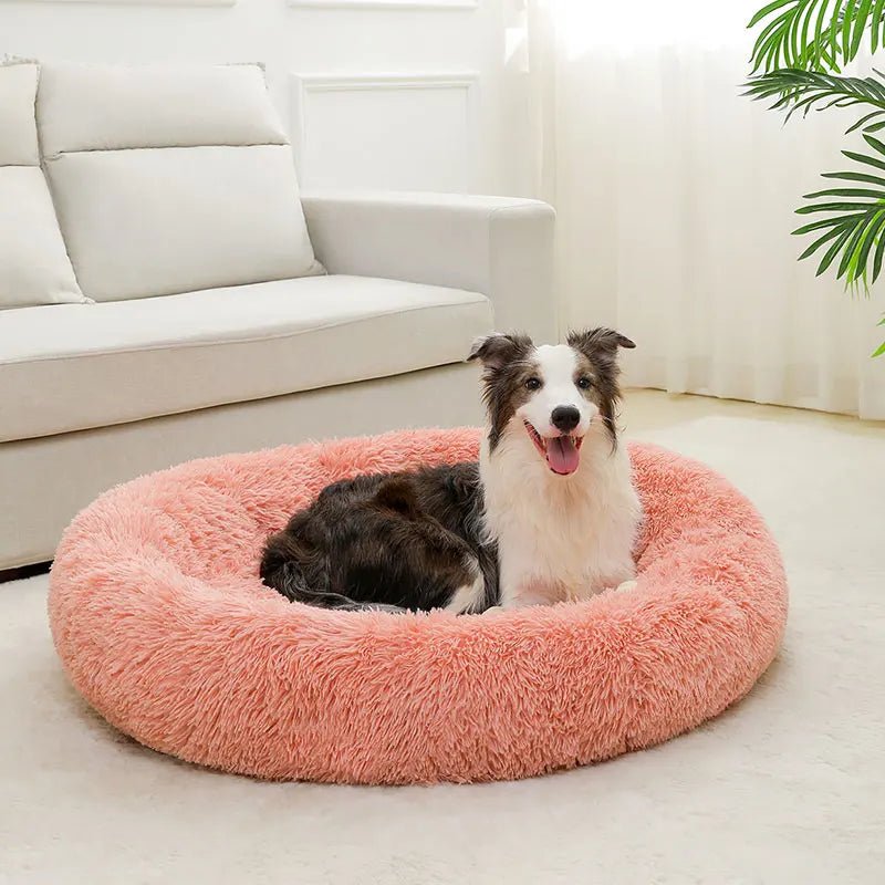 Plush Donut Dog Bed for Cats and Dogs – Soft Cotton Pet Bed for Ultimate Comfort 3
