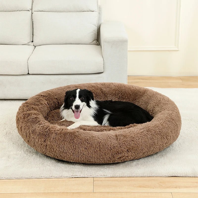 Plush Donut Dog Bed for Cats and Dogs – Soft Cotton Pet Bed for Ultimate Comfort 9