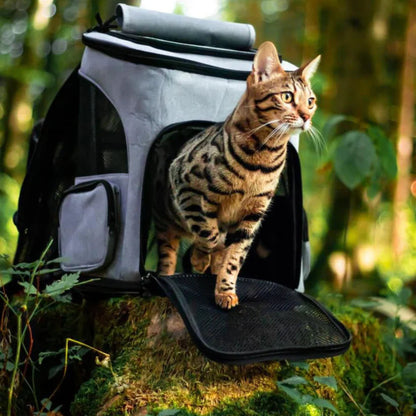 Portable Cat Backpack with Ventilation and Viewing Window – Comfortable Travel Cat Carrier Backpack for Hiking Adventures 1