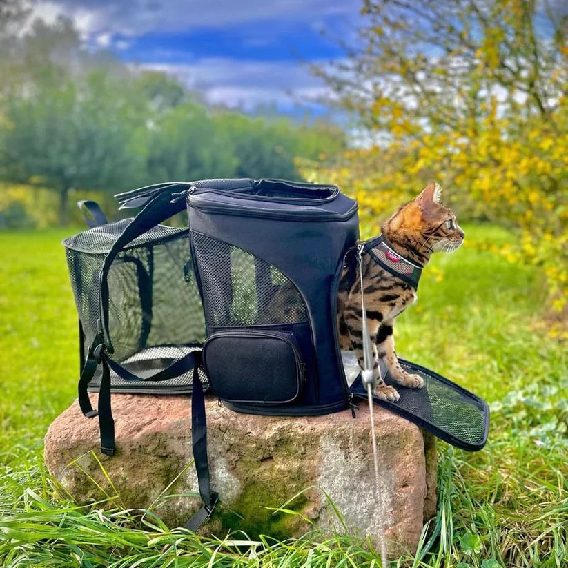 Portable Cat Backpack with Ventilation and Viewing Window – Comfortable Travel Cat Carrier Backpack for Hiking Adventures 3