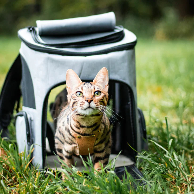 Portable Cat Backpack with Ventilation and Viewing Window – Comfortable Travel Cat Carrier Backpack for Hiking Adventures 5