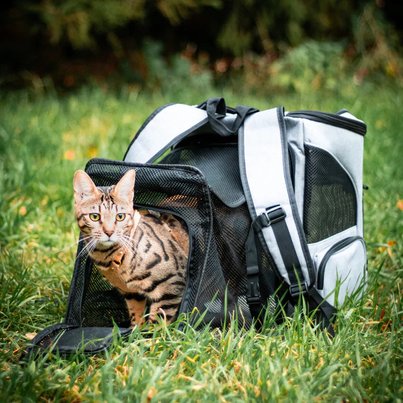 Portable Cat Backpack with Ventilation and Viewing Window – Comfortable Travel Cat Carrier Backpack for Hiking Adventures 6