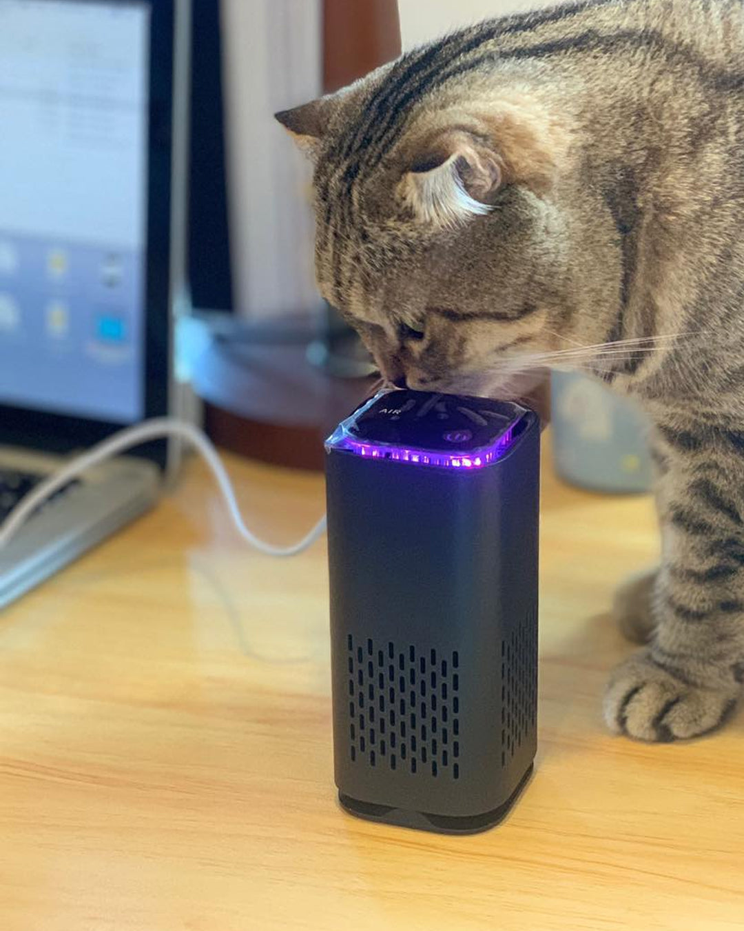 Portable Pet Air Purifier with HEPA Filtration – Removes Pet Odors and Allergens 3