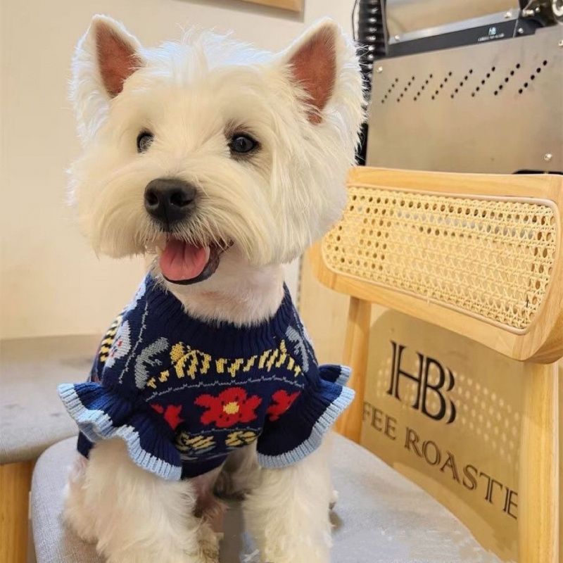 Puff Sleeve Lace Trim Sweater Vest for Women – Elegant Knitted Vest in Soft Fabric, Perfect for Layering and Casual Style 4