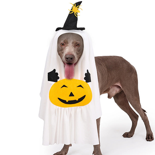 Pumpkin Ghost Halloween Costume for Pets – Adorable Outfit for Dogs and Cats 3