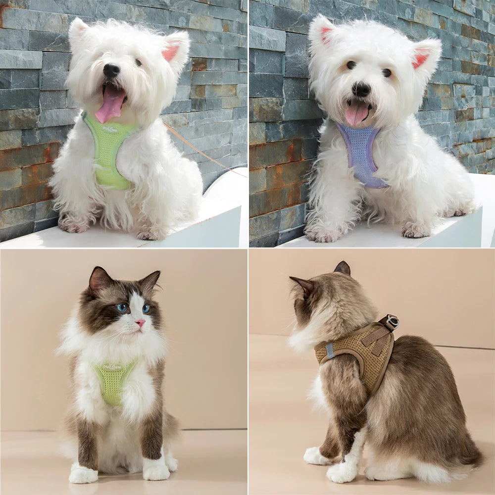 PuppyFit | Adjustable Harness with Leash for Cats and Small Dogs 2