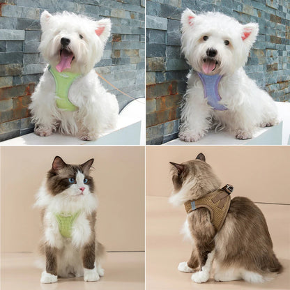 PuppyFit | Adjustable Harness with Leash for Cats and Small Dogs 2