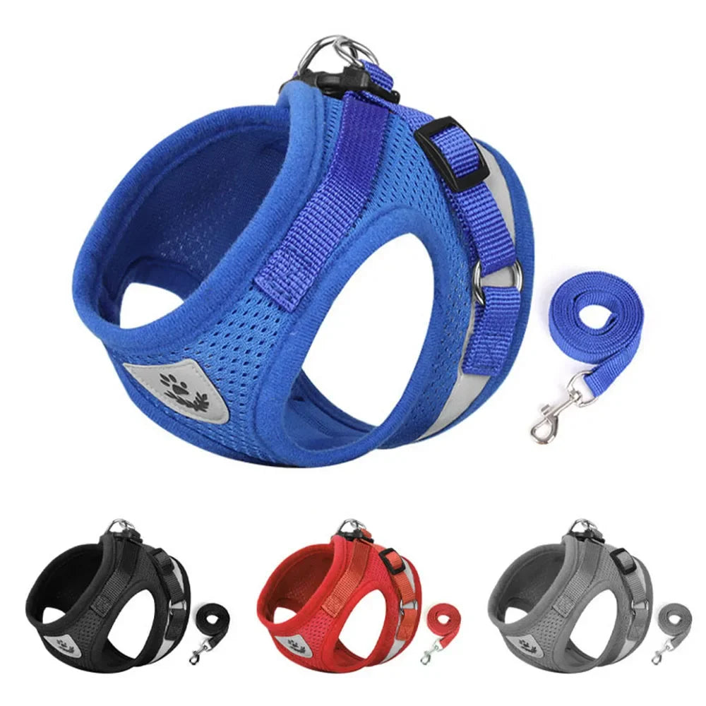 PurrStrap | Adjustable Cat Harness with Reflection 2