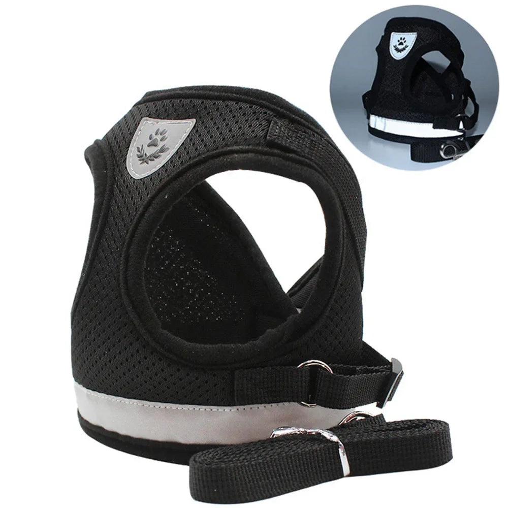 PurrStrap | Adjustable Cat Harness with Reflection 5