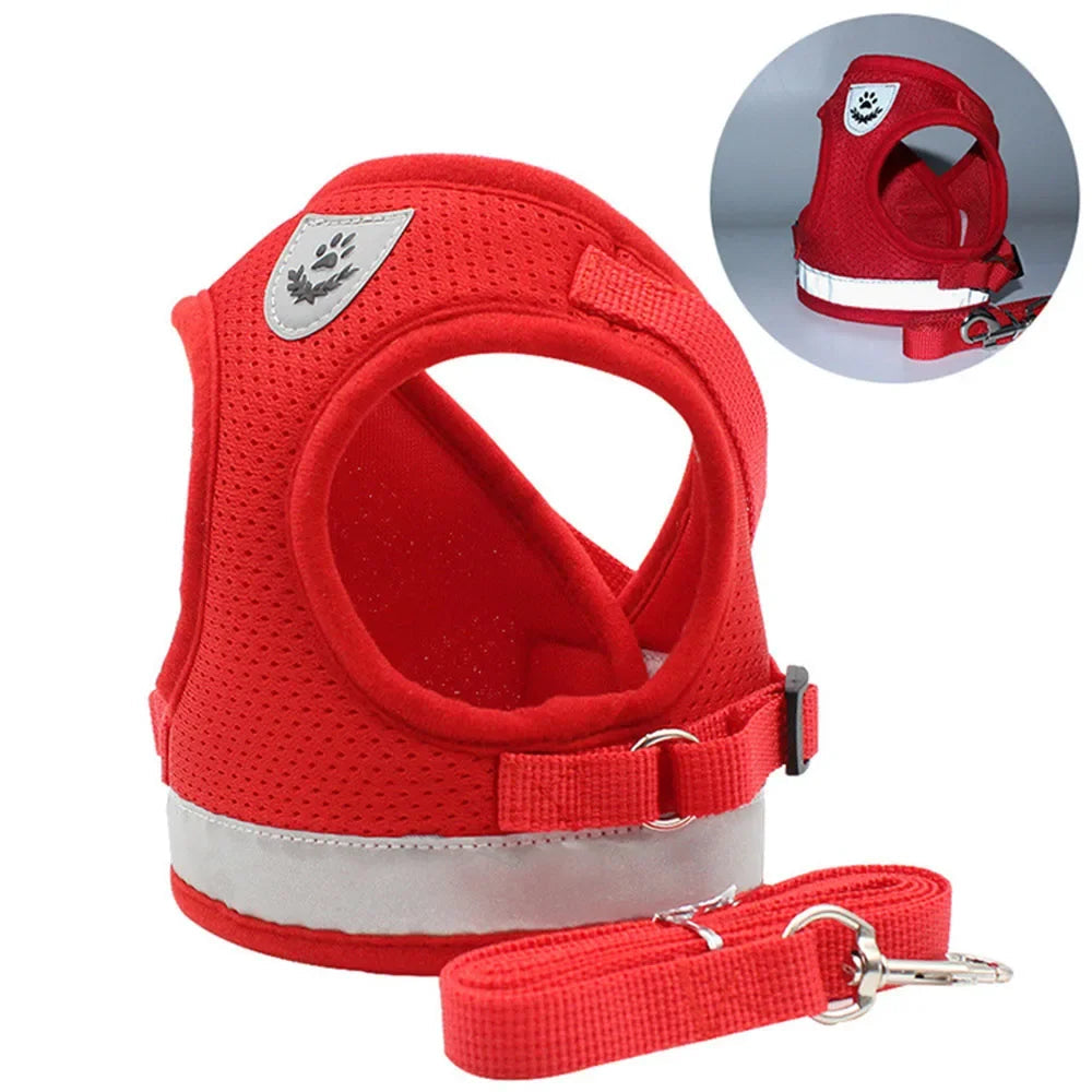 PurrStrap | Adjustable Cat Harness with Reflection 6