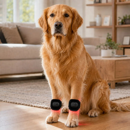 Rechargeable dog wrap featuring adjustable light therapy, made of soft fabric for pet comfort, designed for cordless use. 0
