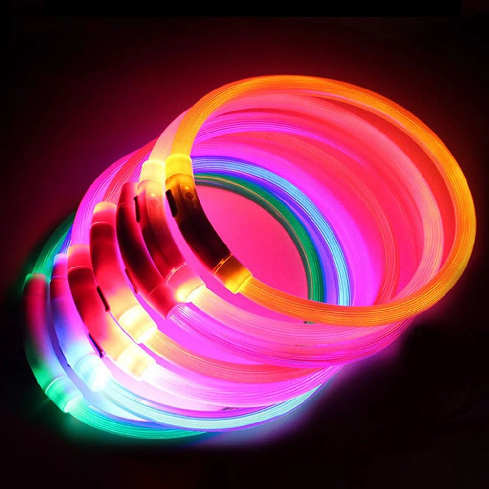 Rechargeable LED Dog Collar - Waterproof and Adjustable Night Safety Light - 50cm Durable ABS with Micro USB Charging 1