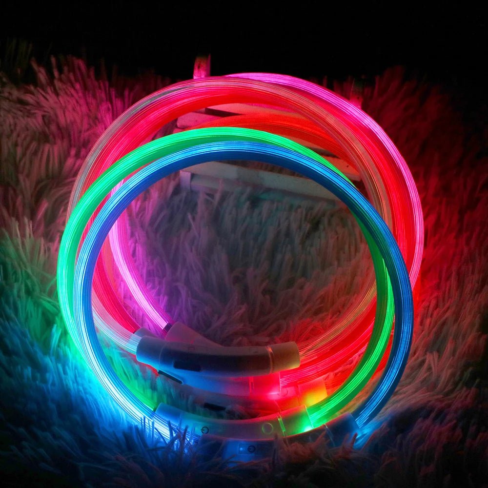 Rechargeable LED Dog Collar - Waterproof and Adjustable Night Safety Light - 50cm Durable ABS with Micro USB Charging 3