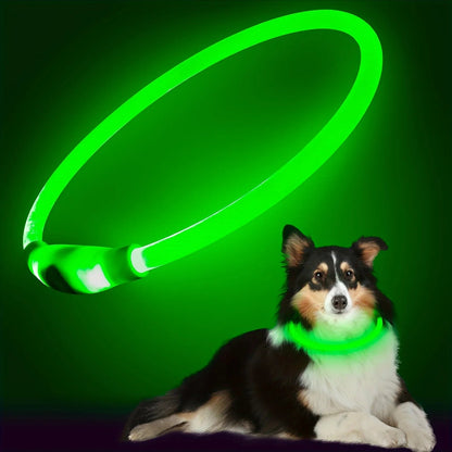 Rechargeable LED Dog Collar with Multiple Light Modes – USB Rechargeable, Weatherproof, Comfortable Fit for Night Safety 6