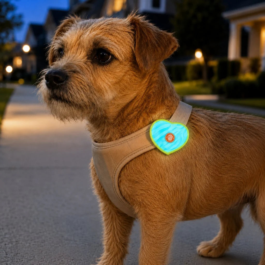 Rechargeable heart-shaped pet visibility light with a wrap-on design and soft LED glow, ideal for collars and leashes to enhance pet safety during nighttime walks 9