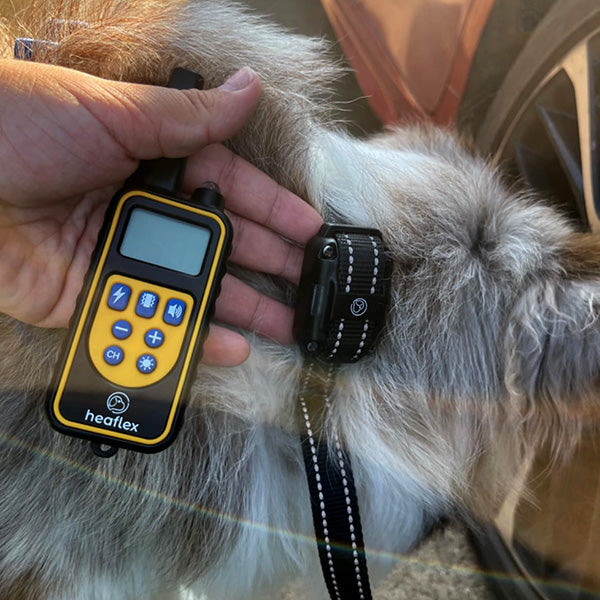 Rechargeable Waterproof Dog Training Collar with Remote Control – 800M Range, Shock, Vibration, and Sound Modes 6