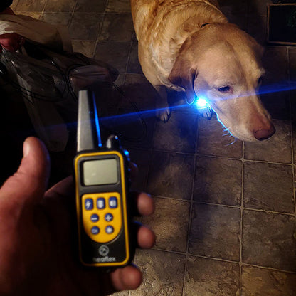 Rechargeable Waterproof Dog Training Collar with Remote Control – 800M Range, Shock, Vibration, and Sound Modes 8